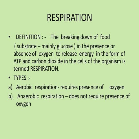 The respiratory system