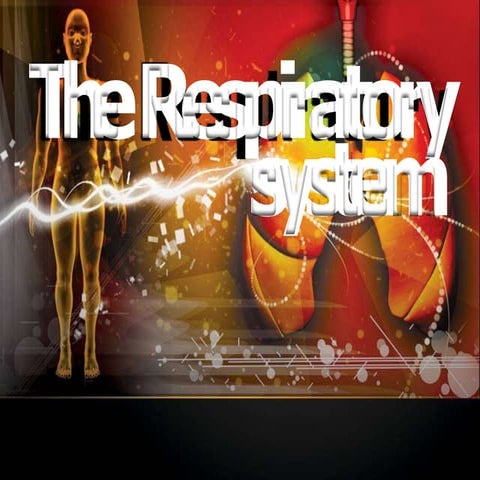 therespiratorysystem-130524022043-phpapp01.pptx