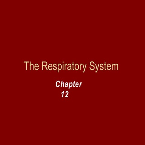 The respiratory system