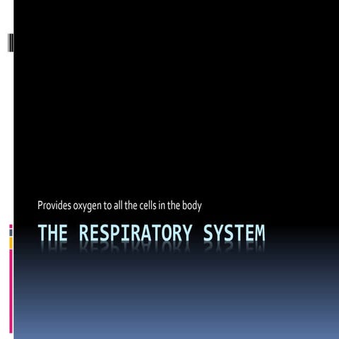 The respiratory system