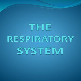 The respiratory system