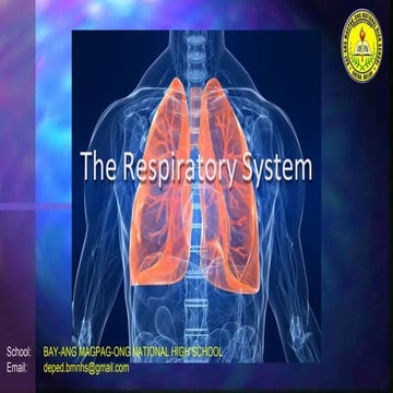 The Respiratory System- WEEK 1.pptx