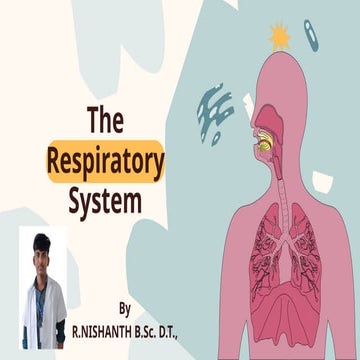 The Respiratory System By R.Nishanth B.sc DT