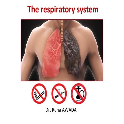 The Respiratory system _250410_111254.pdf