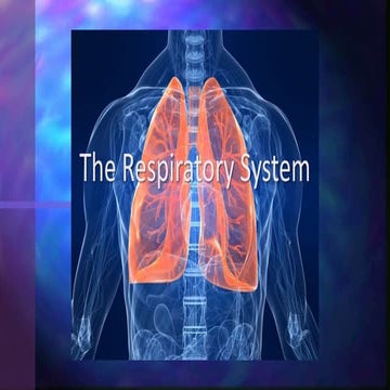 The Respiratory System