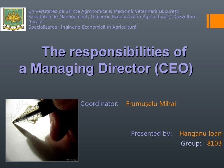 The responsibilities of a managing director (CEO)