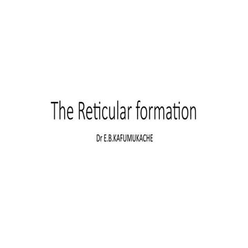Reticular formation | PPTX