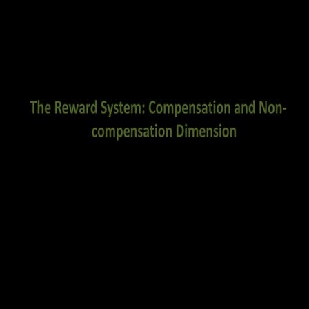 The reward system compensation and non compensation dimension