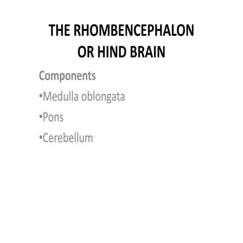 The Rhombencephalon or Hind brain.ppt