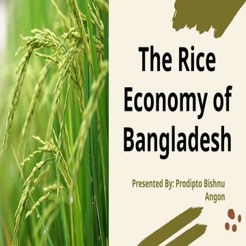 The Rice Economy of Bangladesh_Angon.pptx