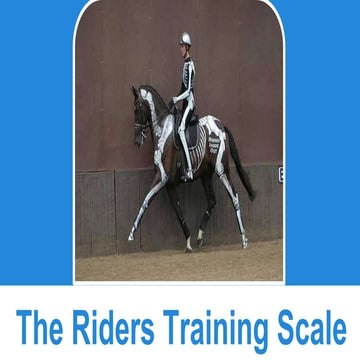 The Riders Training Scale | PPTX