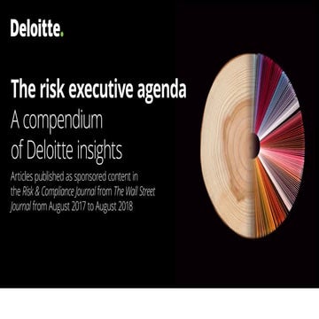 The risk executive agenda -- A compendium  of Deloitte insights 