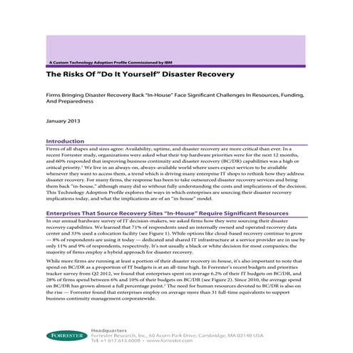 The risk of diy disaster recovery | PDF
