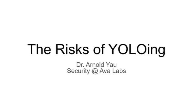 The Risks of YOLOing-2.pdf