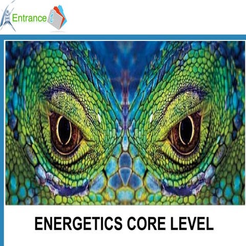 Thermochemistry   ok1294993378