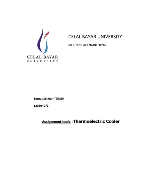 thermoelectric couple