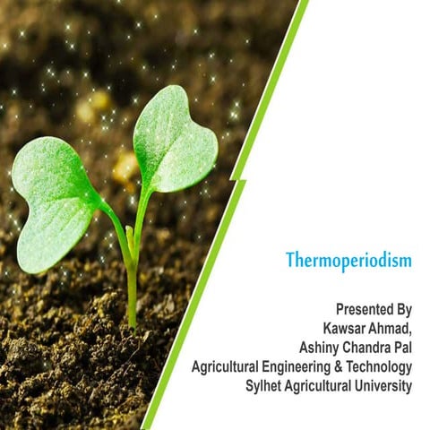 Thermoperiodism