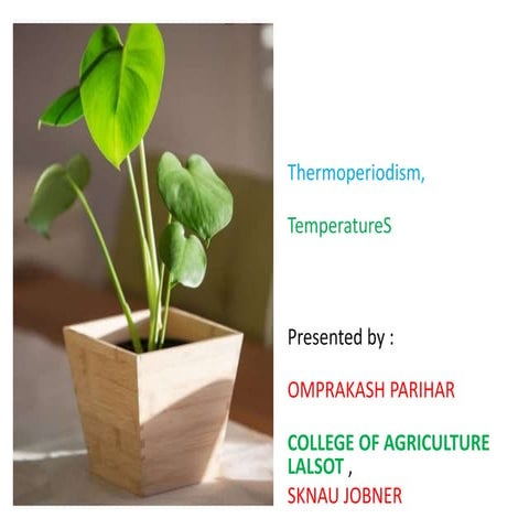Thermoperiodism , temperature