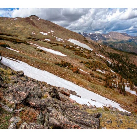 Thermoregulation and ratio of surface area to-volume