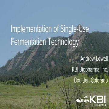 Implementation of End-to-End Disposable Single Use Systems for Rapid Fermenta...