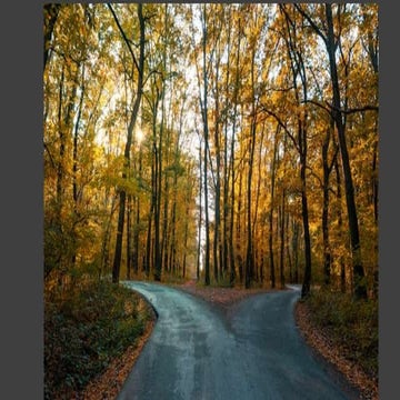 The Road Not Taken.pptx