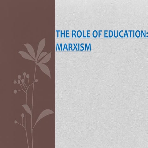 The role of education