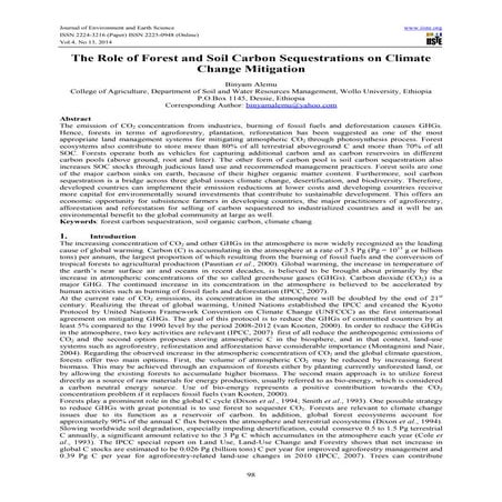 The role of forest and soil carbon sequestrations on climate change ...