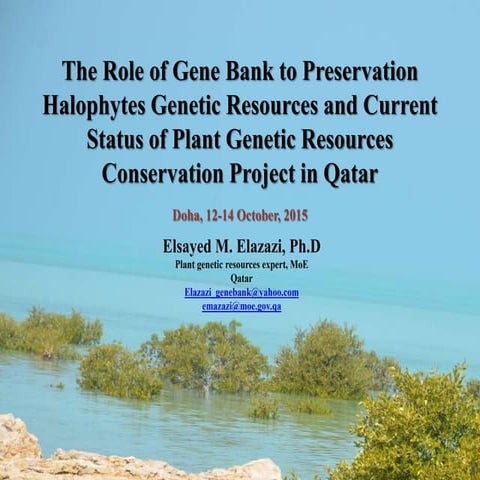 The role of gene bank to preservation halophytes