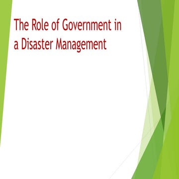 The role of government in a disaster management