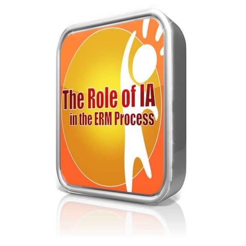 The role of ia in erm process