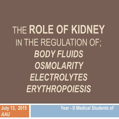 The role of kidney in the regulation of 