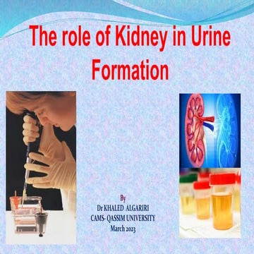 The role of Kidney in Urine Formation .pptx