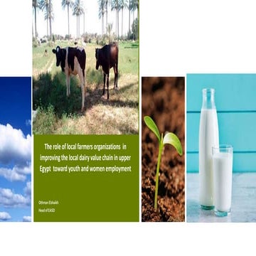 The role of local farmers organizations  in improving