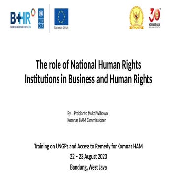 The role of National Human Rights Institutions in.pptx