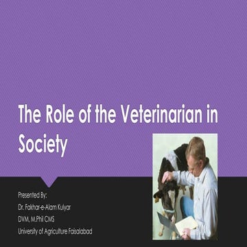 The Role of the Veterinarian in One Health Program