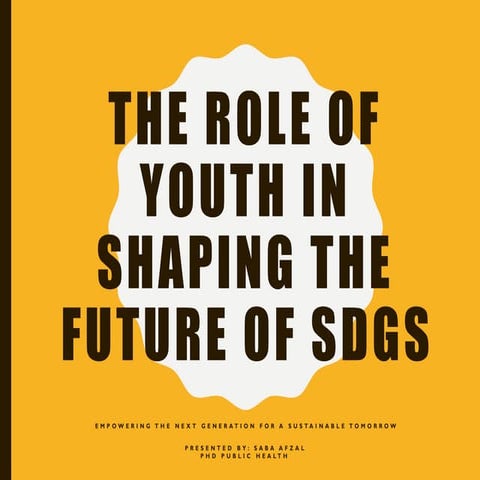 Sdg 11 presentation | PDF