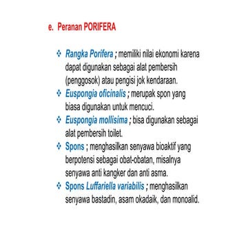 The roles of animals