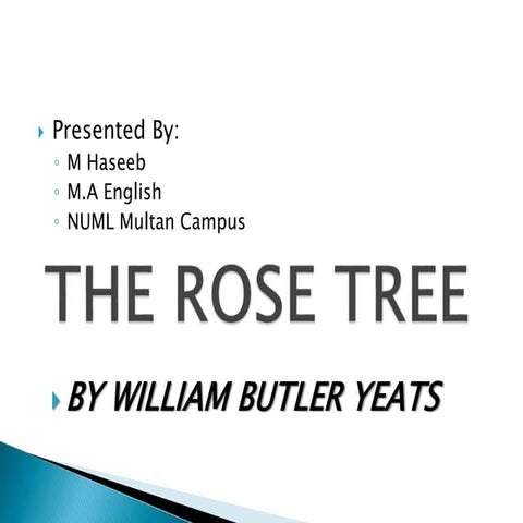 The rose tree