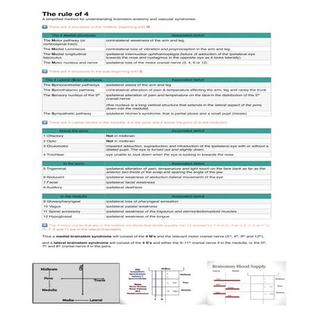 The rule of 4 of the brainstem:  A simplified method for understanding brainstem anatomy and brainstem vascular syndromes