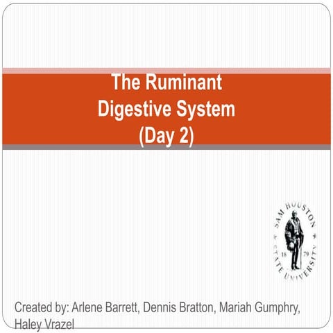 The Ruminant Digestive System INCLUDES EVERYTHING YOU NEED TO KNOW ABOUT THEI...