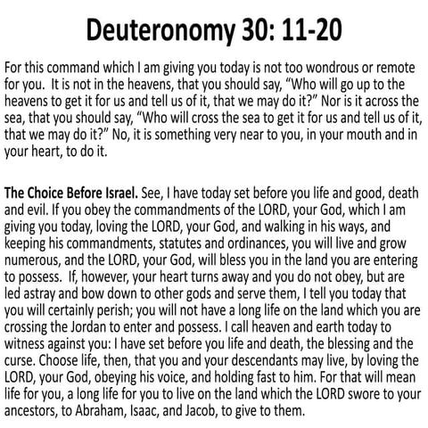 The sanctity of life