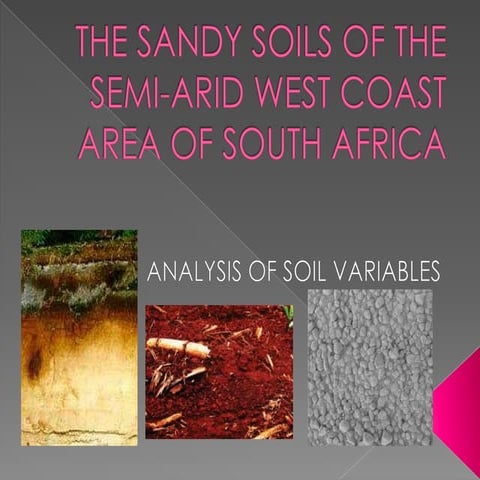 The sandy soils of the semi arid west coast 3rd option