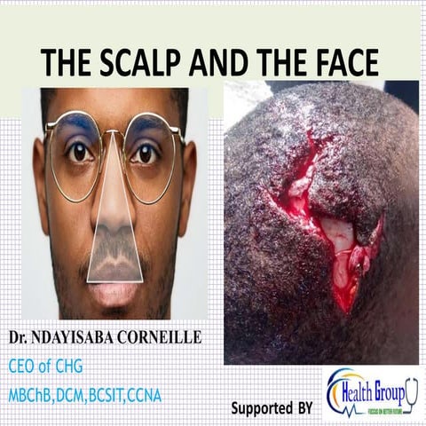 THE_SCALP_AND_THE_FACE.pptx