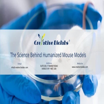 The Science Behind Humanized Mouse Models - Creative Biolabs