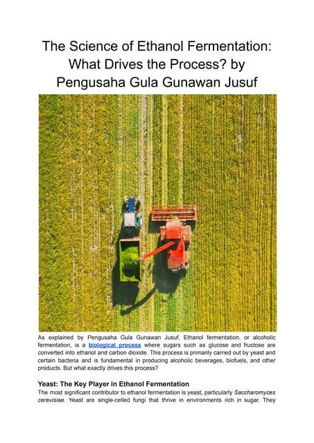 The Science of Ethanol Fermentation_ What Drives the Process.pdf