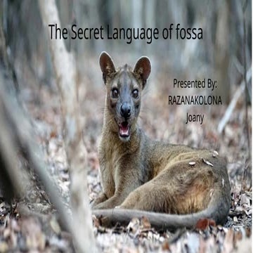 The Secret Language of fossa animal in Madagascar.pptx