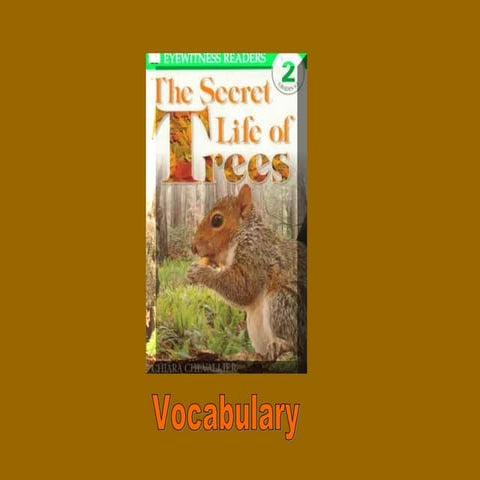 The Secret Life Of Trees | PPT