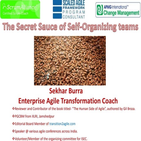 The secret sauce of self organizing teams