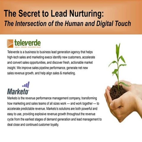 The secret to lead nurturing