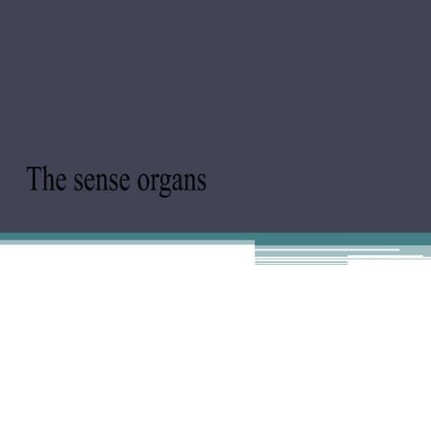 The sense organs